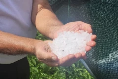 SNAŽNO NEVREME NA JADRANU! Grad veličine oraha padao u Rovinju - IMA POVREĐENIH! (FOTO, VIDEO)