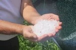 SNAŽNO NEVREME NA JADRANU! Grad veličine oraha padao u Rovinju - IMA POVREĐENIH! (FOTO, VIDEO)