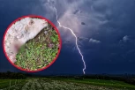 GROM UBIO JAGNJE I OVNA! Porodica Kljajević pretrpela veliku štetu tokom stravične oluje: "Ne pamti se takvo nevreme!" (FOTO)