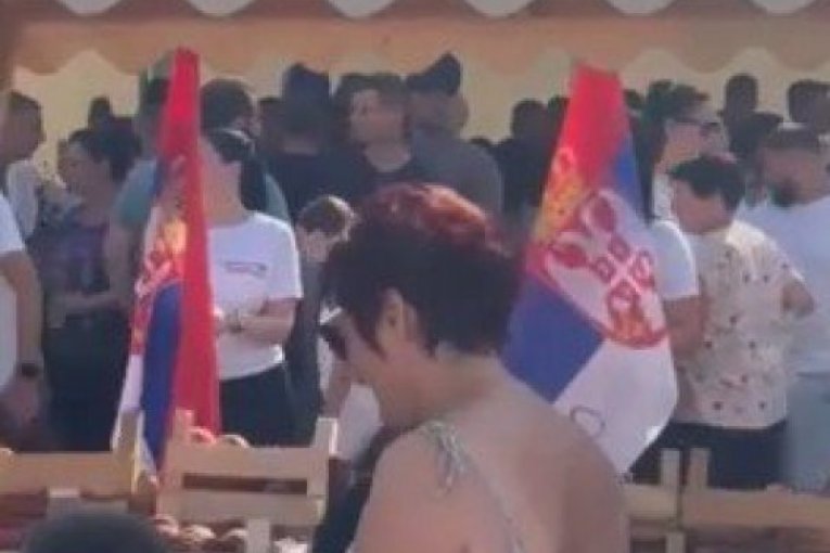 Skup SNS u Lozoviku