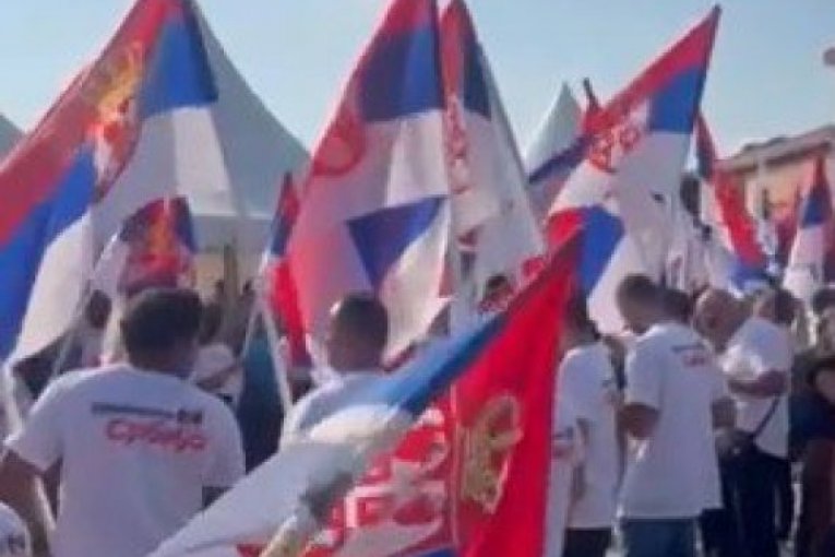 Skup SNS u Lozoviku