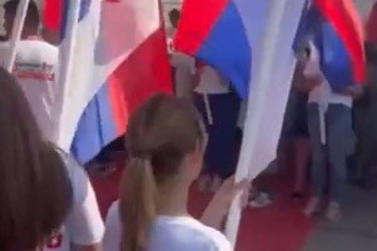 Skup SNS u Lozoviku