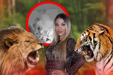 LAV POBEDO BIZNISMENA TIGRA?! Evo u čijem krevetu je završila ušljokana Aneli nakon žurke - SNIMAO JE OBEZNANJENU! (GALERIJA)