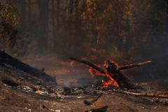 BUKNULA DVA POŽARA KOD TREBINJA! Vatrogasci brane kuće od plamena - SITUACIJA JE DRAMATIČNA! (FOTO, VIDEO)