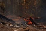 BUKNULA DVA POŽARA KOD TREBINJA! Vatrogasci brane kuće od plamena - SITUACIJA JE DRAMATIČNA! (FOTO, VIDEO)