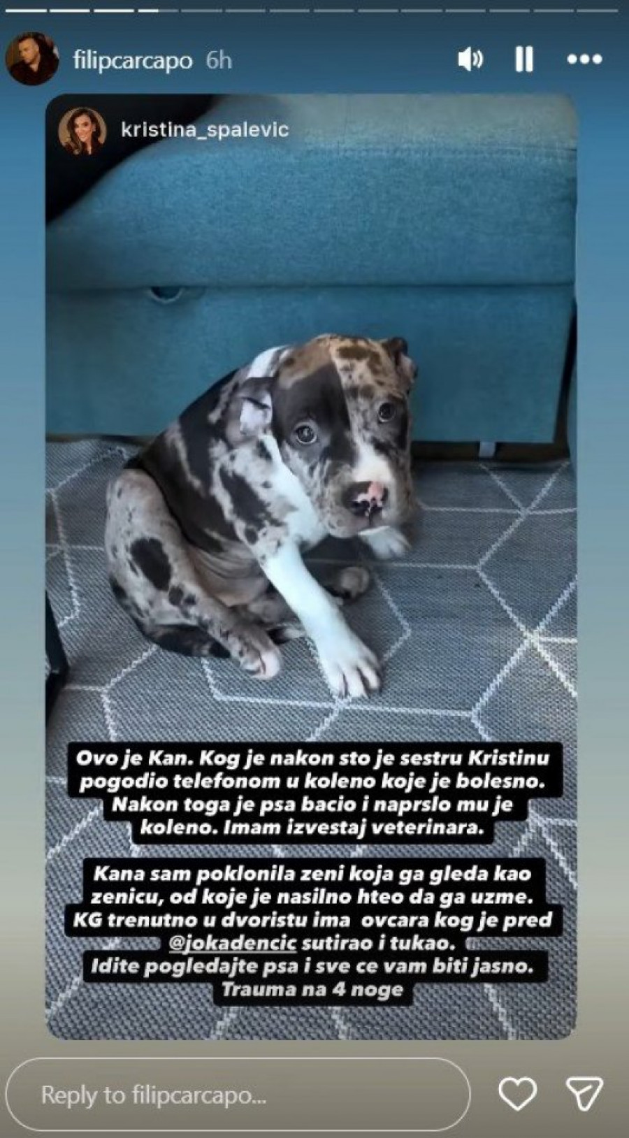 STOP BOLESTI! Najmonstruozniji snimak od kad postoji internet isplivao u javnost, ELITARI PODRŽALI ZABRANU ŽELJKA MITROVIĆA!