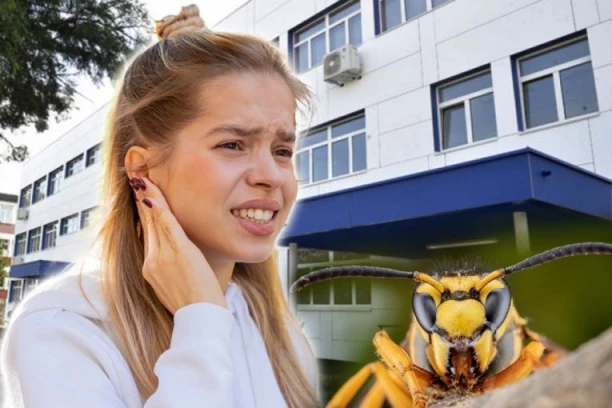 TEŠKA DRAMA U LOZNICI! Devojčicu ubo stršljen, jedva živa ostala - TRI PUTA JOJ TOKOM NOĆI LEKARI SPASAVALI ŽIVOT, JOŠ U BOLNICI!