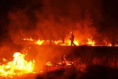 OGROMAN POŽAR U SMEDEREVSKOJ PALANCI! Dim se nadvio nad celim gradom - IZAZVAO GA DEČAK?!