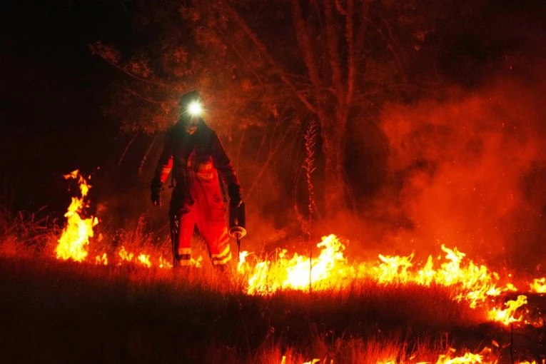 VELIKI POŽAR U BEOGRADU! Gori rastinje u Vojvode Vlahovića!
