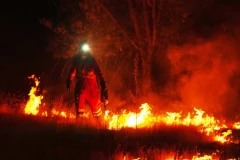 VELIKI POŽAR U BEOGRADU! Gori rastinje u Vojvode Vlahovića!