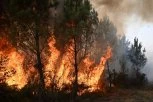 VATRA GUTA SVE PRED SOBOM! Vanredno stanje kod Konjica, upućen poziv za međunarodnu pomoć: Situacija alarmantna