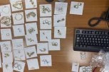 UMOTALI NAKIt VREDAN 50.000 EVRA U GARDEROBU! Pogledajte šta je sve pronađeno u torbi na prelazu Bački Breg!
