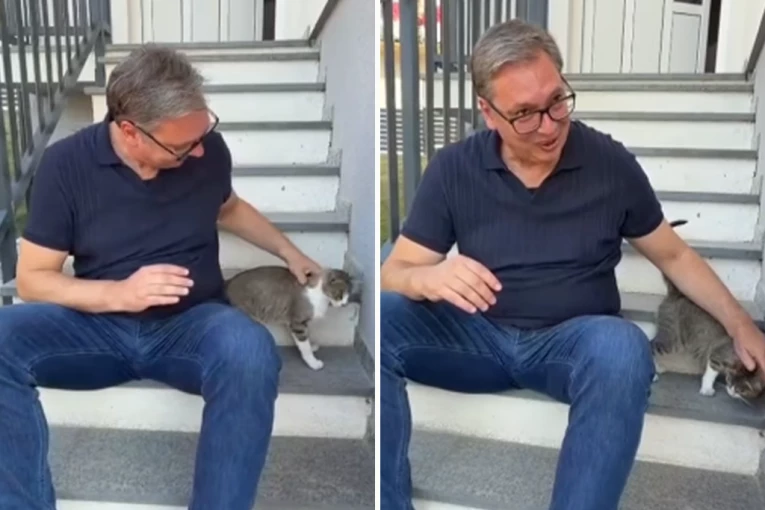 NEOČEKIVANA GOŠĆA! Vučić podelio simpatičan trenutak ispred njegove porodične kuće u Čipuljiću: "I ona svratila da vidi ko je stigao!" (VIDEO)