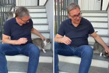 NEOČEKIVANA GOŠĆA! Vučić podelio simpatičan trenutak ispred njegove porodične kuće u Čipuljiću: "I ona svratila da vidi ko je stigao!" (VIDEO)