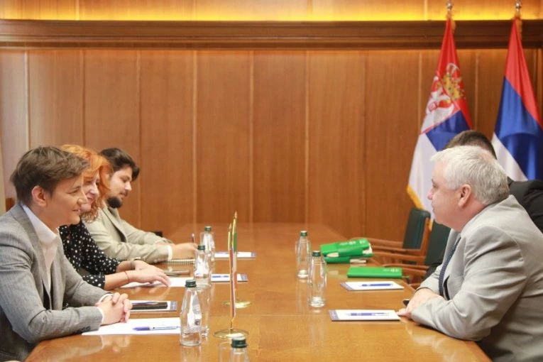 VAŽAN KORAK U DALJEM JAČANJU ODNOSA DVE DRŽAVE: Brnabić se sastala sa ambasadorom Irske Kevinom Kolganom