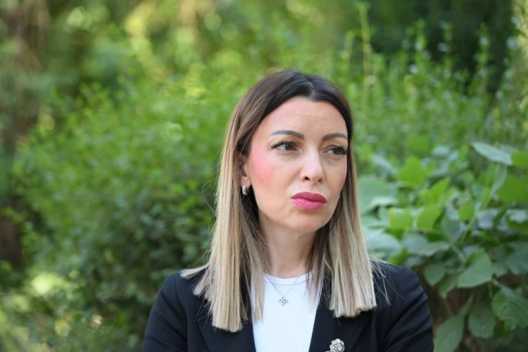"Nema stajanja za Marinikinu fabriku laži" - Mesarović: Svaki, ali svaki put će se odgovoriti na tvoj lažne afere!