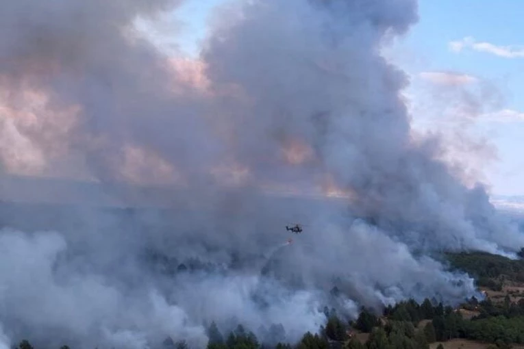 OSAMDESET VATROGASACA GASI POŽAR U DELIBLATSKOJ PEŠČARI! Oglasio se načelnik Sektora za vanredne situacije: Angažovani su i helikopteri!