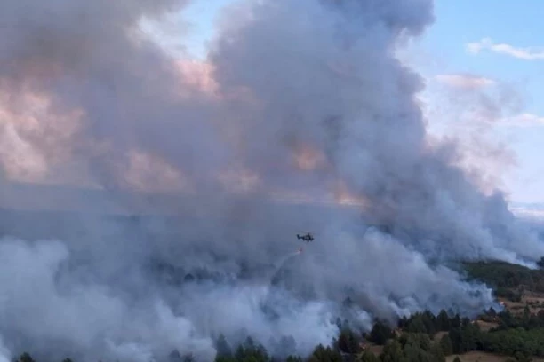 OSAMDESET VATROGASACA GASI POŽAR U DELIBLATSKOJ PEŠČARI! Oglasio se načelnik Sektora za vanredne situacije: Angažovani su i helikopteri!