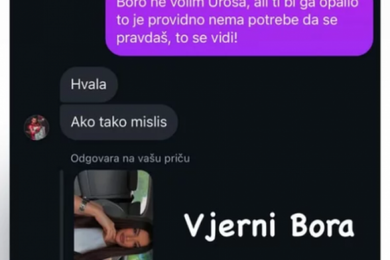 Objava Anastasije Brčić