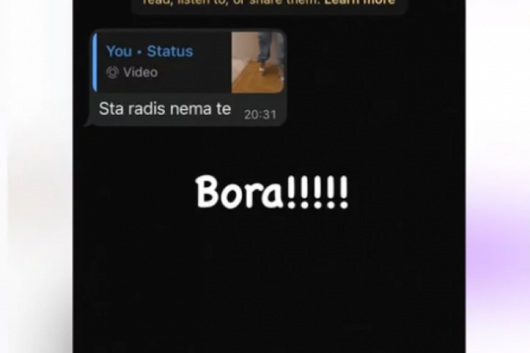 Objava Anastasije Brčić