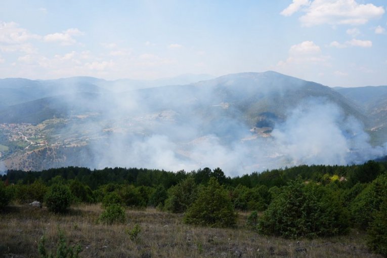 Vatrena stihija pokorila Ušće