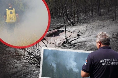 DIM NAS GUŠI, NEMAMO STRUJE! Vatrena stihija odsekla selo, meštani u strahu da ne ostanu bez kuća: Pogledajte dramatične scene kod Ušća (GALERIJA)
