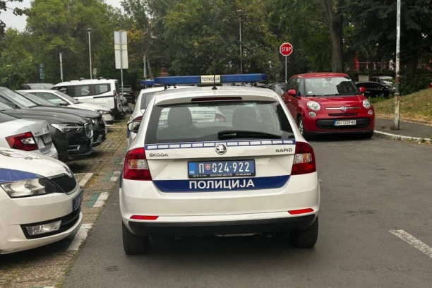 ŠEST GODINA OD JEZIVOG UBISTVA! Navijač Rada brutalno ubijen na parkingu na Banjici, braći Rakočević se i dalje sudi