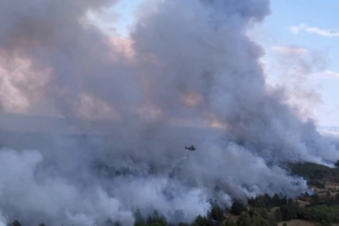 POD VATROM 1.500 HEKTARA ŠUME I NISKOG RASTINJA! Prizori užasa u Deliblatskoj peščari - OGLASIO SE MUP! (FOTO)