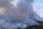 POD VATROM 1.500 HEKTARA ŠUME I NISKOG RASTINJA! Prizori užasa u Deliblatskoj peščari - OGLASIO SE MUP! (FOTO)