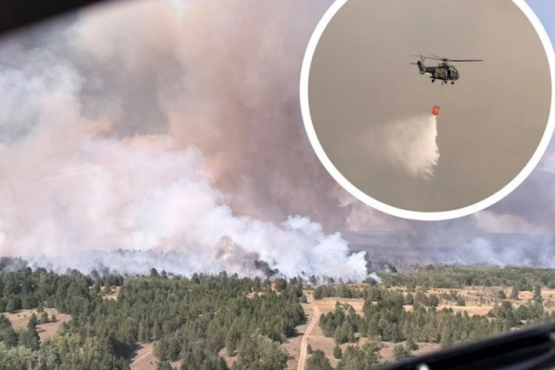 POŽAR U DELIBLATSKOJ PEŠČARI I DALJE BUKTI Plamen stigao do kuća, gust dim se vidi i u Beogradu