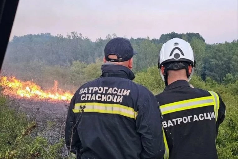 ŠEST POŽARA I DALJE GORI U SRBIJI: Najveći haos je kod Deliblatske peščare, a OVO su ostale lokacije