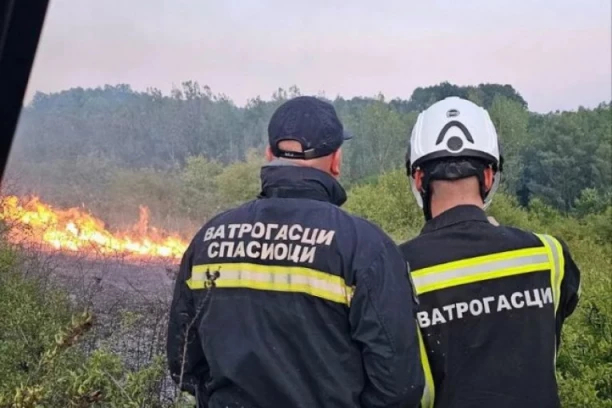 ŠEST POŽARA I DALJE GORI U SRBIJI: Najveći haos je kod Deliblatske peščare, a OVO su ostale lokacije