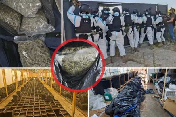 POGLEDAJTE DRAMATIČAN UPAD SPECIJALACA! UKP I SAJ u akciji kod Smedereva, evo ŠTA JE SVE PRONAĐENO U KUĆI! (FOTO, VIDEO)