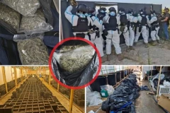 POGLEDAJTE DRAMATIČAN UPAD SPECIJALACA! UKP I SAJ u akciji kod Smedereva, evo ŠTA JE SVE PRONAĐENO U KUĆI! (FOTO, VIDEO)