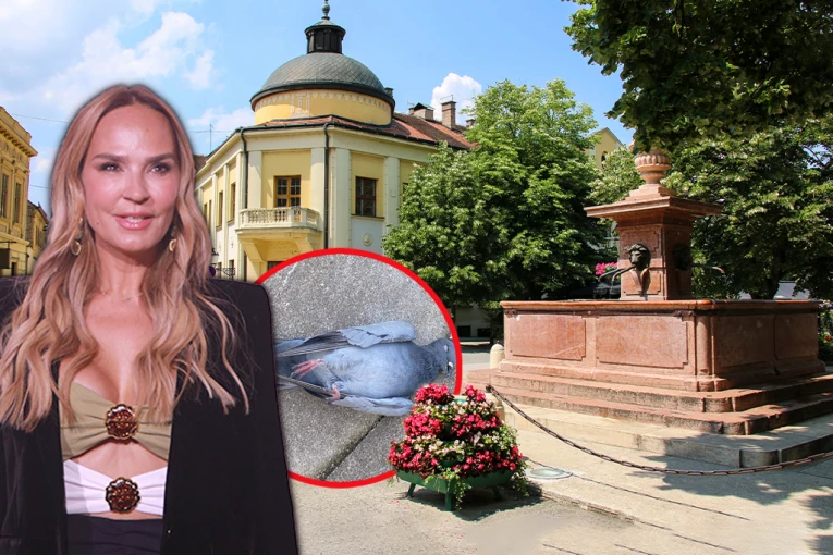 MARIJANA MATUES SLUČAJNO UBILA GOLUBA: Jeziv prizor pred kamerama ŠOKIRAO publiku - nastao muk tada!