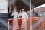 CRNI REKORD EBOLЕ! DR Kongo suočen sa NAJTEŽOM EPIDEMIJOM U SVOJOJ ISTORIJI: Broj žrtava vrtoglavo raste