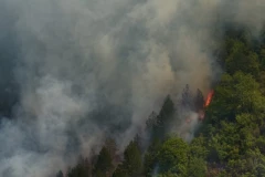 BUKNUO STRAVIČAN POŽAR U BATAJNICI!