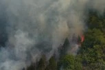BUKNUO STRAVIČAN POŽAR U BATAJNICI!