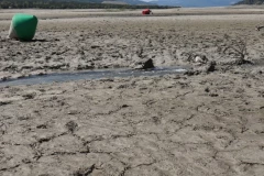 KAP VODE NAMA! Presušilo poznato jezero u Srbiji!