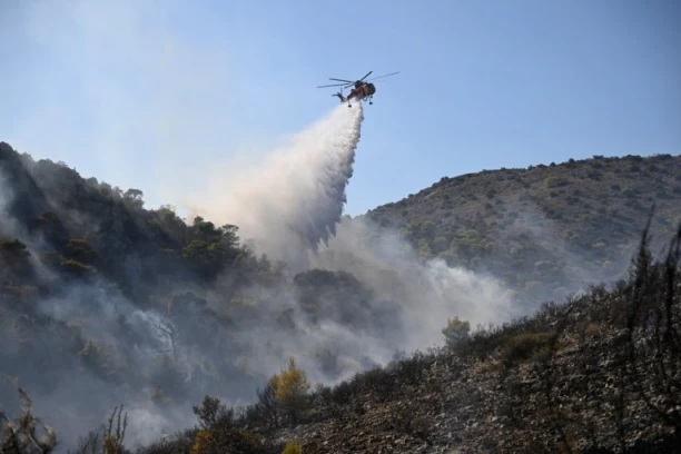 BUKTINJA GUTA SVE PRED SOBOM Novi požar kod Kladova, vatra se širi u pravcu kuća