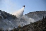 BUKTINJA GUTA SVE PRED SOBOM Novi požar kod Kladova, vatra se širi u pravcu kuća