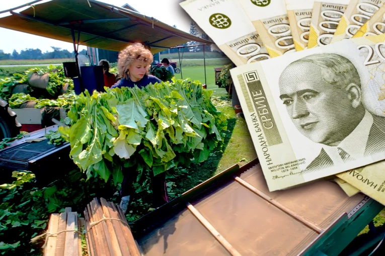 SATNICA JE 630 DINARA, A SMEŠTAJ BESPLATAN! Ovi sezonci rade kada svi spavaju, a zarađuju dobru platu!