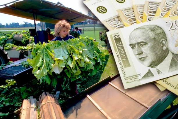 SATNICA JE 630 DINARA, A SMEŠTAJ BESPLATAN! Ovi sezonci rade kada svi spavaju, a zarađuju dobru platu!