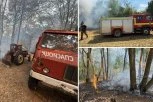 UGAŠEN VELIKI POŽAR NA FRUŠKOJ GORI! Vatrena stihija besnela skoro 20 sati, evo kakva je sada situacija (FOTO)