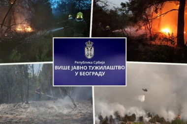 TUŽILAŠTVO POKREĆE ISTRAGU ZBOG POŽARA U DELIBLATSKOJ PEŠČARI! Počela identifikacija ovih osoba: "Svi će biti procesuirani"!