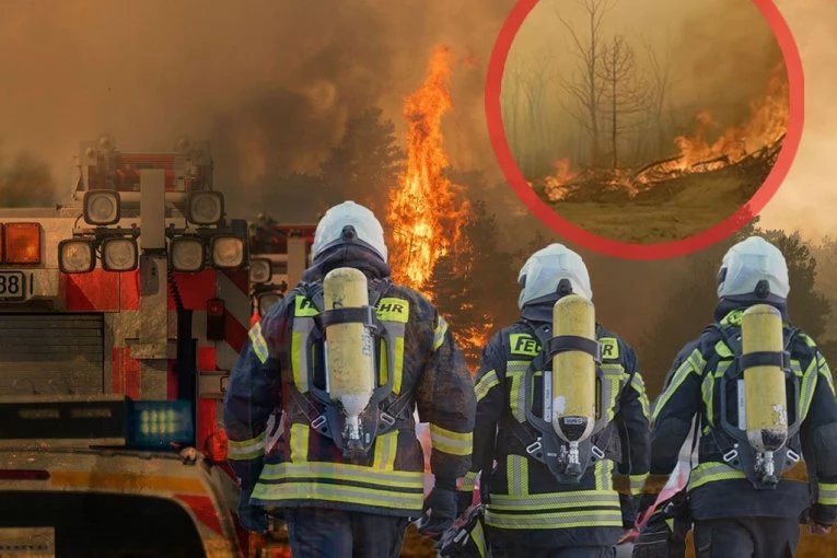 NEMAČKA ŠALJE POMOĆ SRBIJI! Vatrogasci sa 22 vozila i cisternama kreću u borbu sa VATRENOM STIHIJOM u Deliblatskoj peščari!