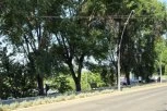 POTRESNI PRIZORI U KRALJEVU: Građani ostavljaju cveće i pale sveće na mestu stravične saobraćajne nesreće (VIDEO)
