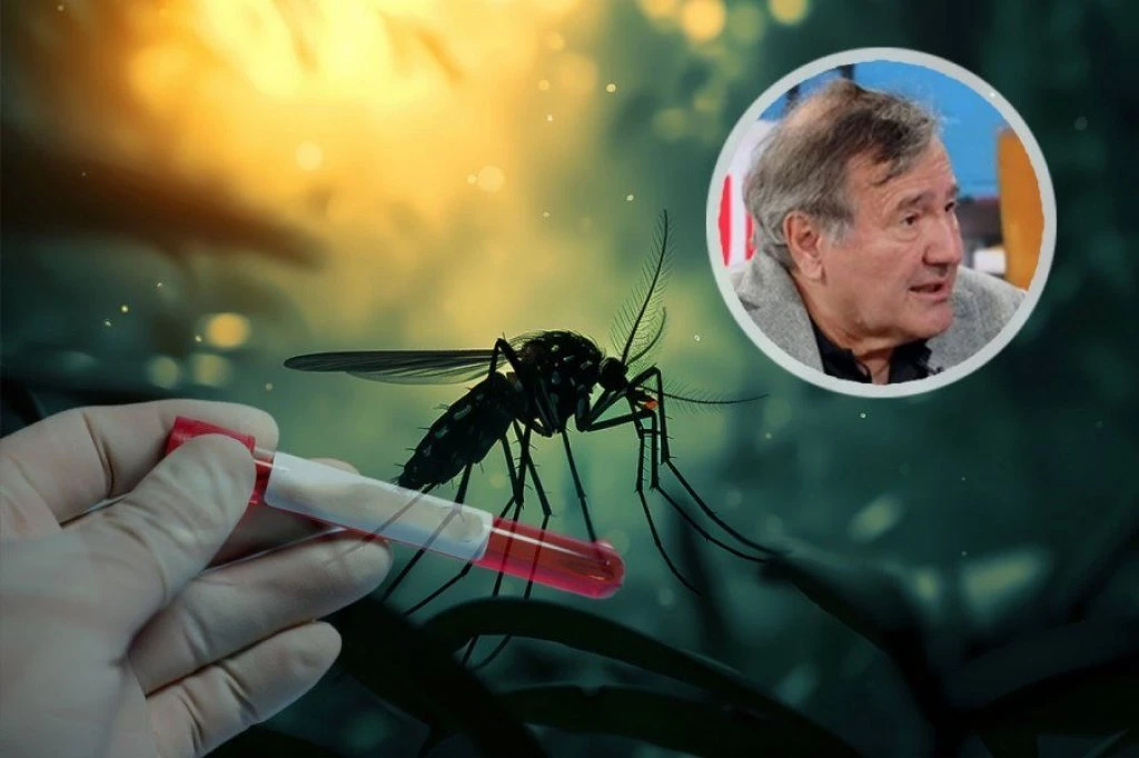 Prof. dr Nožić o VIRUSU ZAPADNOG NILA u Srbiji: Infektolog otkriva koliko je opasan i kakva je klinička slika kod TEŠKIH SLUČAJEVA