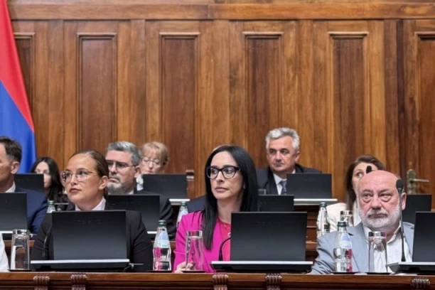 MINISTARKA ZAGRМELA U SKUPŠTINI: Dok vi napadate Vučića i članove Vlade, mi obilazimo Srbiju i pomažemo porodicama