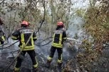 POPALJENI SVI ALARMI, RHMZ NIŽE UPOZORENJA Opasnost od širenja požara u Deliblatskoj peščari zbog jakog vetra